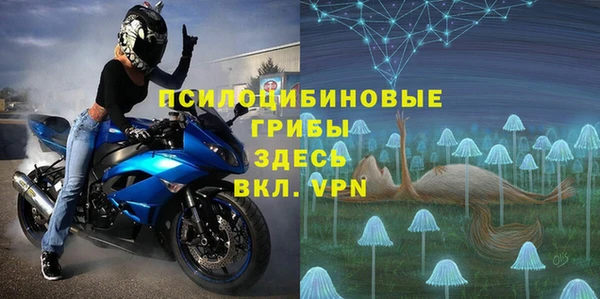 apvp Верхний Тагил