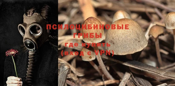 apvp Верхний Тагил