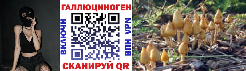 Псилоцибиновые грибы Psilocybine cubensis  Кинешма 